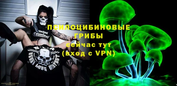 гидропоника Белоозёрский